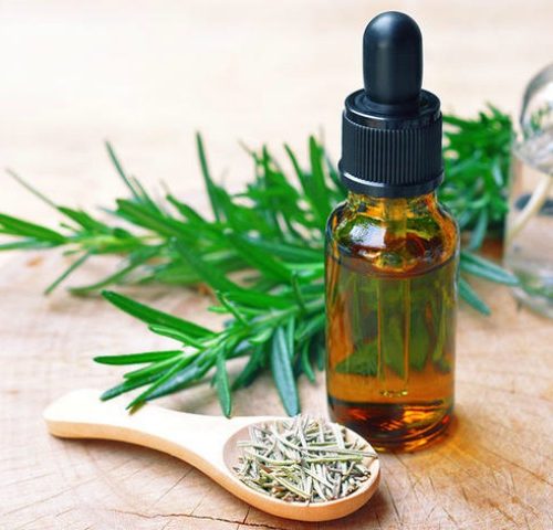 تصویر 1 از فروش اسانس رزماری طبیعی گرید A++