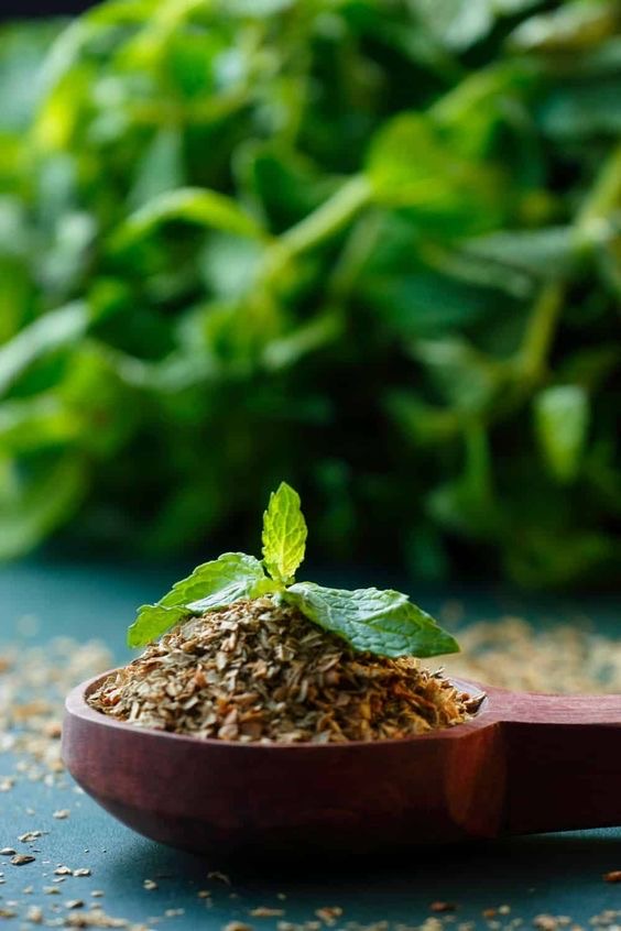 تصویر 2 از سبزی خشک ریحان خوش‌ طعم مناسب انواع غذاها و دمنوش‌ ها