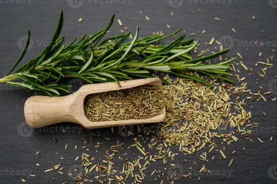 سبزی خشک ریحان خوش‌ طعم مناسب انواع غذاها و دمنوش‌ ها