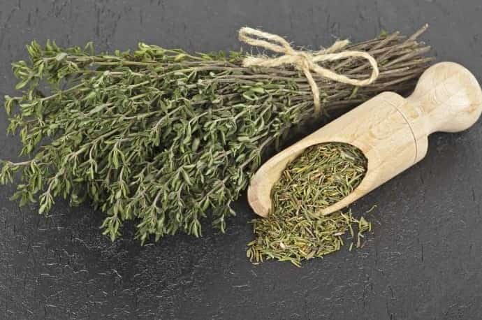 تصویر 3 از آویشن کوهی اصل خشک با عطر واقعی و دلپذیر و کیفیت عالی