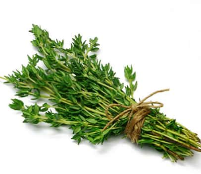 تصویر 3 از آویشن خشک برگ باریک خوش‌ عطر و بو مناسب انواع غذا ها