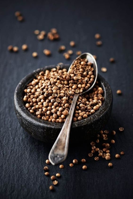 بذر گشنیز توپی با کشت بالا مناسب کاشت خانگی و مزرعه