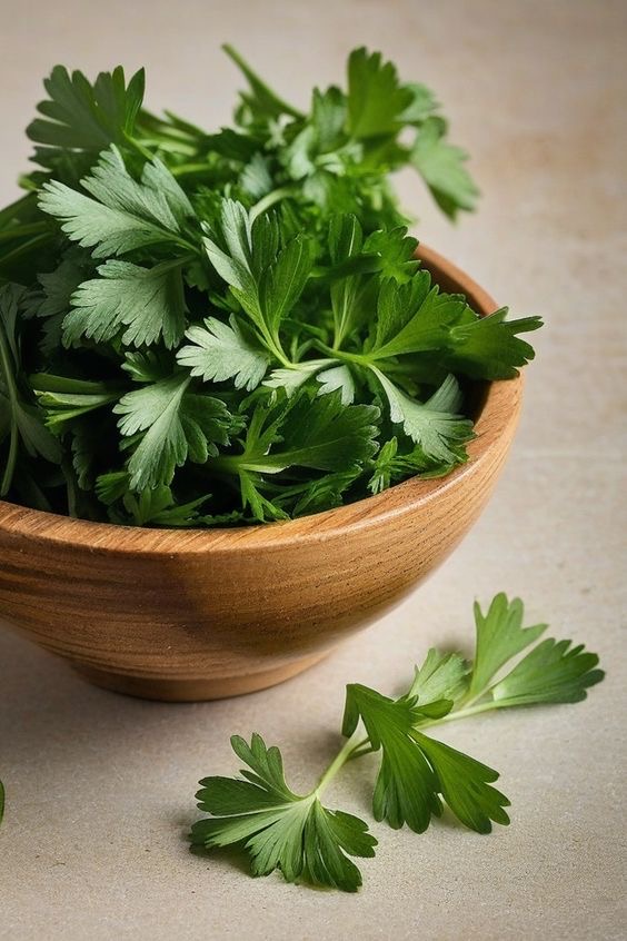 تصویر 4 از جعفری تازه با عطر قوی و برگ‌ های سبز مناسب انواع غذاها