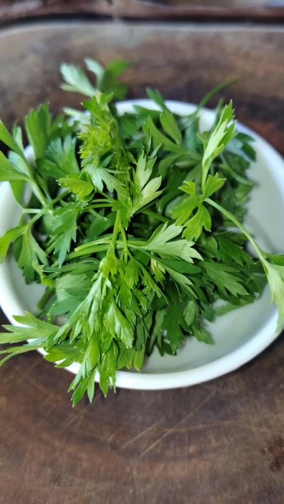 تصویر 3 از جعفری تازه با عطر قوی و برگ‌ های سبز مناسب انواع غذاها