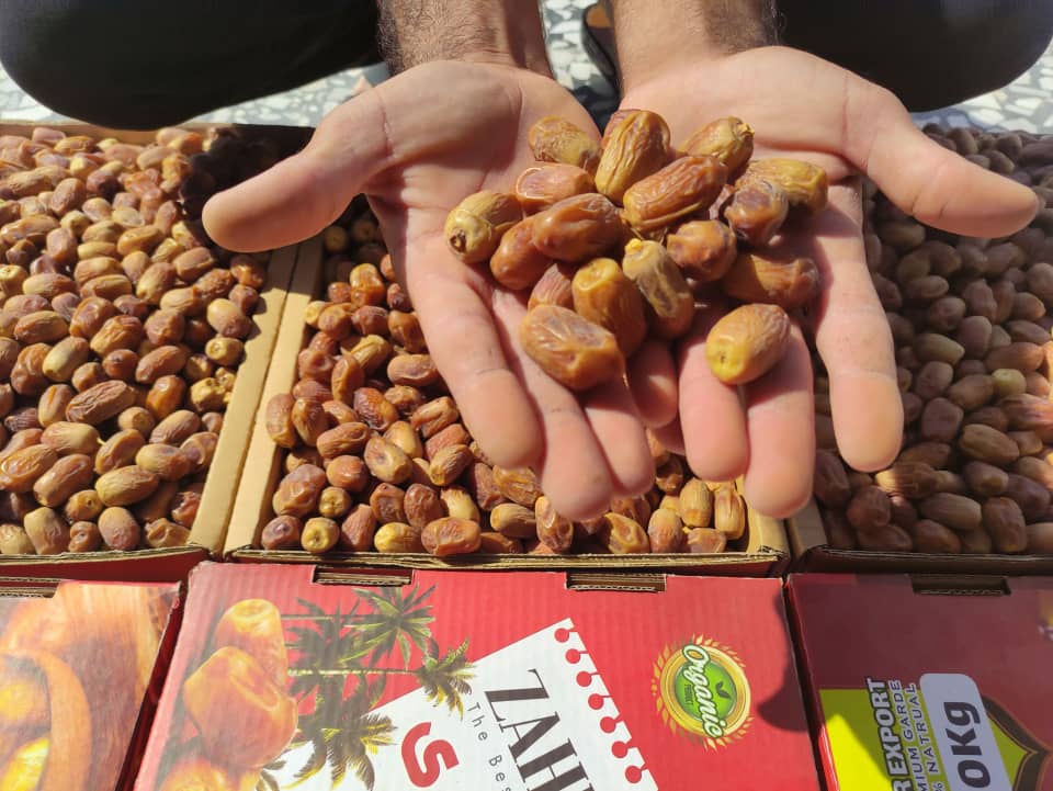 خرما زاهدی پشت کوه درجه یک قیمت مناسب صادر به کشور افغانستان و پاکستان