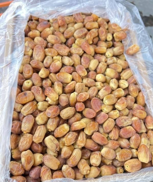 تصویر 3 از خرما زاهدی پشت کوه درجه یک قیمت مناسب صادر به کشور افغانستان و پاکستان