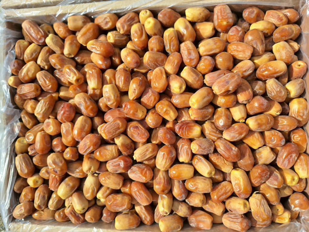 تصویر 2 از خرما زاهدی پشت کوه درجه یک قیمت مناسب صادر به کشور افغانستان و پاکستان