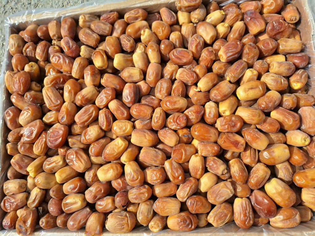 تصویر 5 از خرما زاهدی پشت کوه درجه یک قیمت مناسب صادر به کشور افغانستان و پاکستان