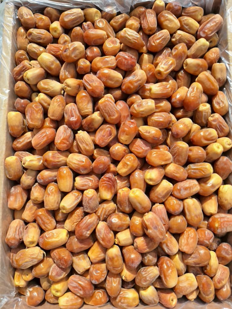 تصویر 1 از خرما زاهدی پشت کوه درجه یک قیمت مناسب صادر به کشور افغانستان و پاکستان