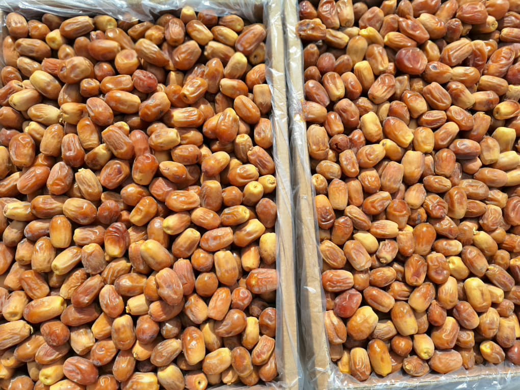 تصویر 4 از خرما زاهدی پشت کوه درجه یک قیمت مناسب صادر به کشور افغانستان و پاکستان