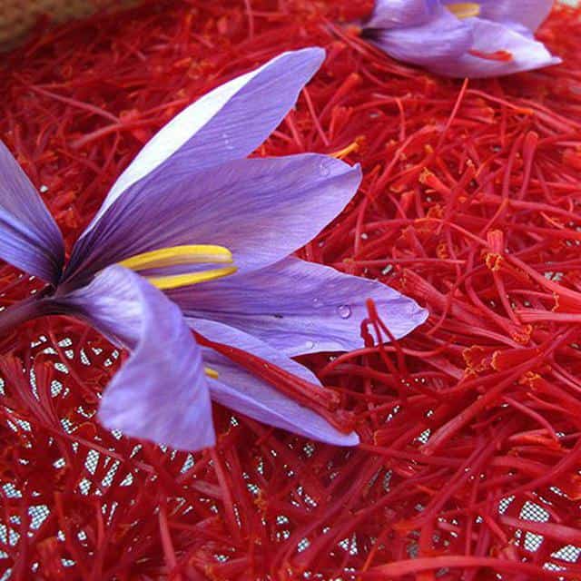 زعفران سحرخیز ممتاز با رنگ دهی بالا