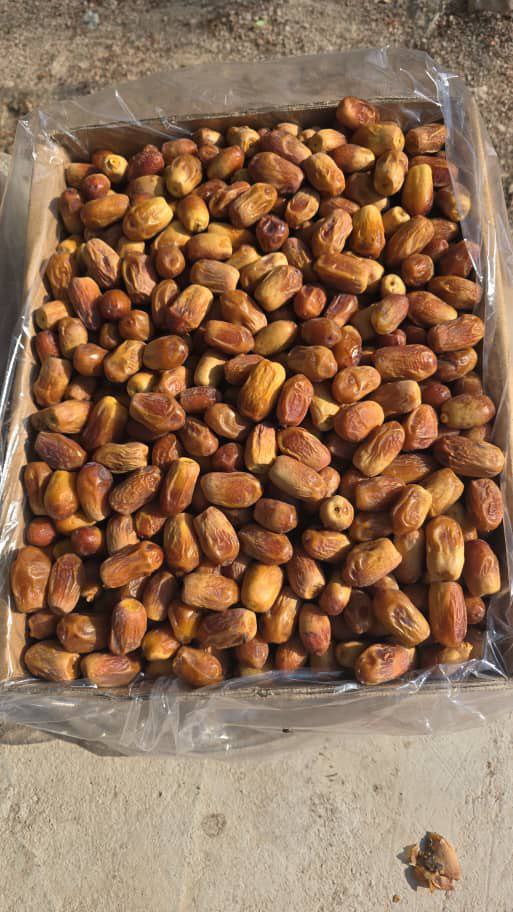 تصویر 1 از فروش انواع خرما زاهدی استان فارس قیرو کازرون بهترین کیفیت داخلی صادراتی