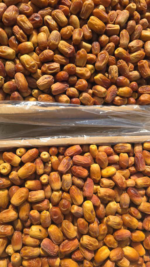 تصویر 2 از فروش انواع خرما زاهدی استان فارس قیرو کازرون بهترین کیفیت داخلی صادراتی