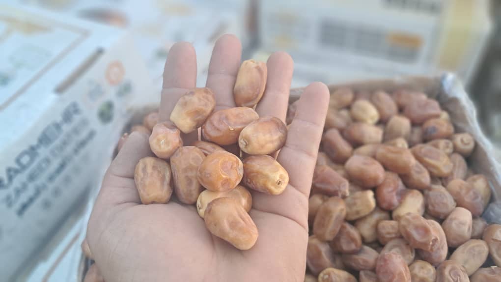 تصویر 3 از انواع خرما زاهدی استان فارس قیرو کازرون قیمت مناسب صادرات به کشور افغانستان