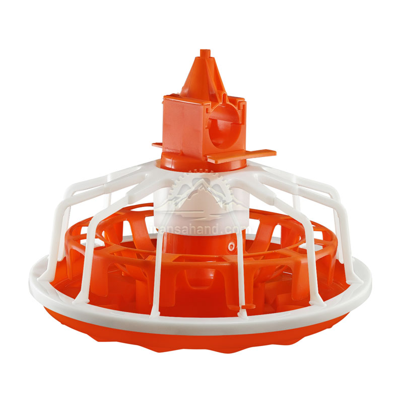 تصویر 1 از خرید عمده و صادرات دانخوری جوجه ارسال به تمام نقاط