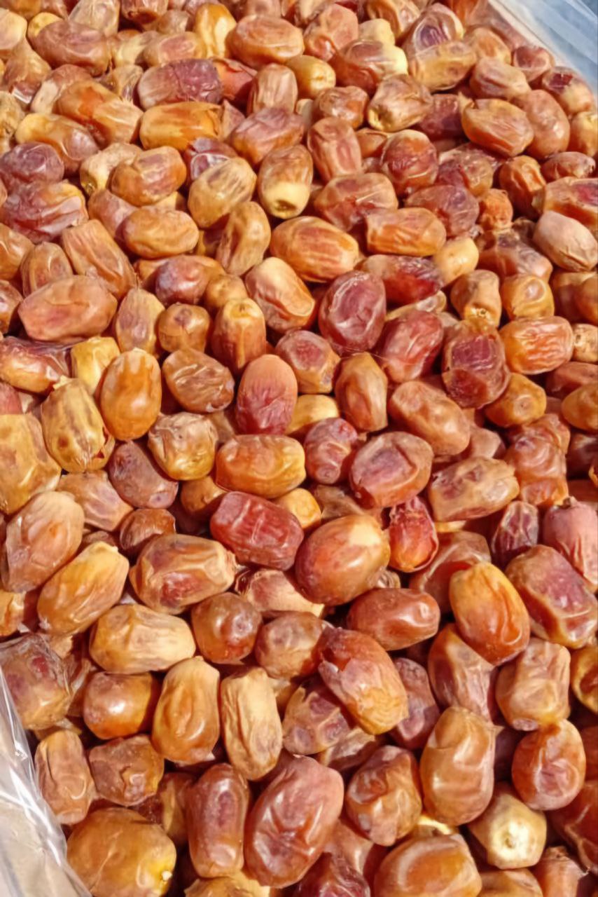 فروش انواع خرما زاهدی استان بوشهر صادرات به کشور تاجیکستان و ارمنستان