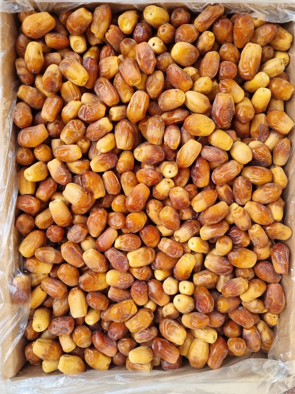 تصویر 2 از فروش انواع خرما زاهدی استان بوشهر صادرات به کشور تاجیکستان و ارمنستان