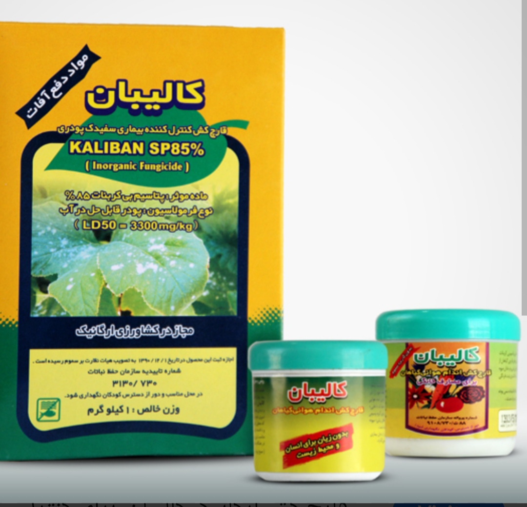 خرید مستقیم قارچ کش گیاهی کالیبان + تولید کننده