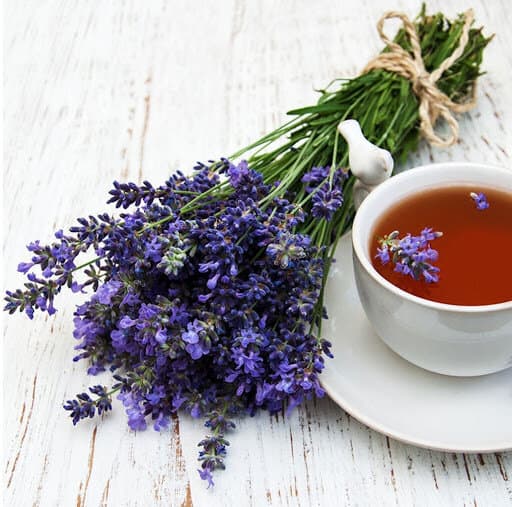 تصویر 4 از گیاه اسطوخودوس درجه یک در بسته بندی بهداشتی