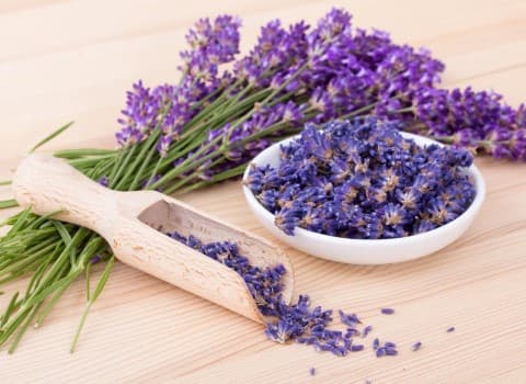 خرید گیاه اسطوخودوس