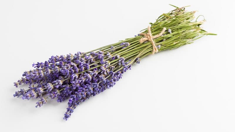 قیمت گیاه اسطوخودوس