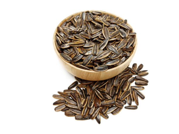 تخمه آفتابگردان اردبیل تازه و ارگانیک