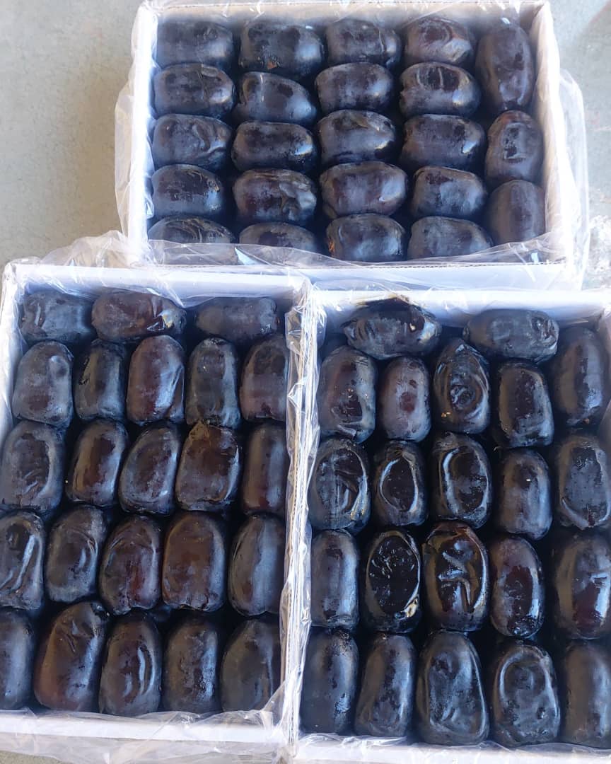 تصویر 1 از خرمای مضافتی مرغوب و ممتاز کرمان + قیمت عمده و صادراتی