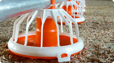 لیست قیمت لوازم مرغداری در تبریز