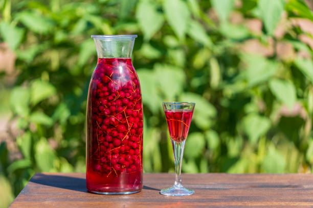 تصویر 2 از بهترین اب زرشک غلیظ بیرجند مفید و سالم