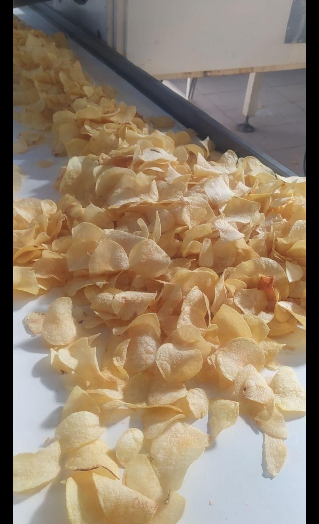 خرید و قیمت چیپس پیاز جعفری شش ضلعی + فروش عمده قیمت درب کارخانه