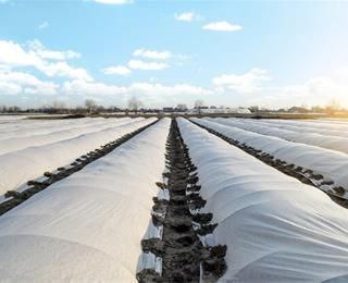 تصویر 3 از قیمت عمده فروشی کاور ضد سرما کشاورزی عرض 5 متر + ارسال سریع