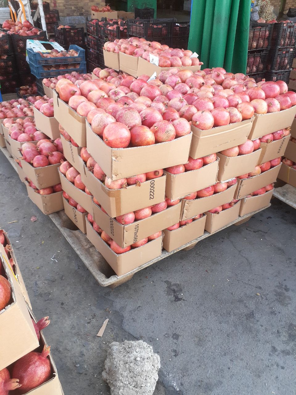 قیمت انار ساوه