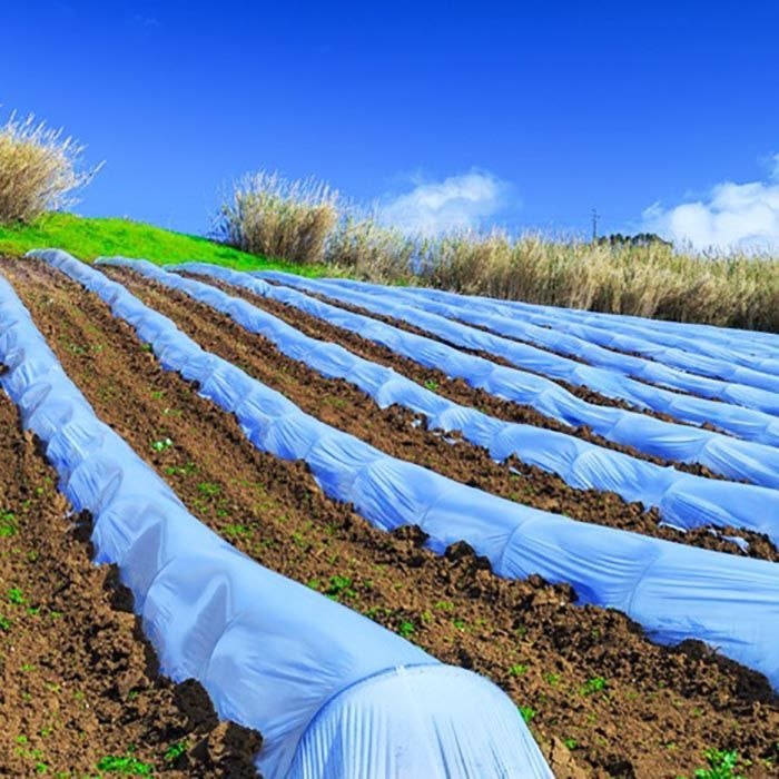 تصویر 4 از فروش مستقیم انواع کاور ضد سرما گوجه‌فرنگی از تولید به مصرف + قیمت عالی