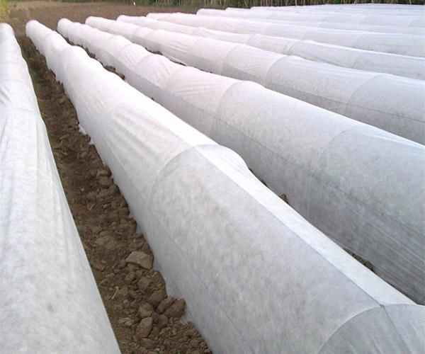 تصویر 3 از پخش عمده انواع کاور ضد سرما کشاورزی + قیمت مناسب و بی‌واسطه