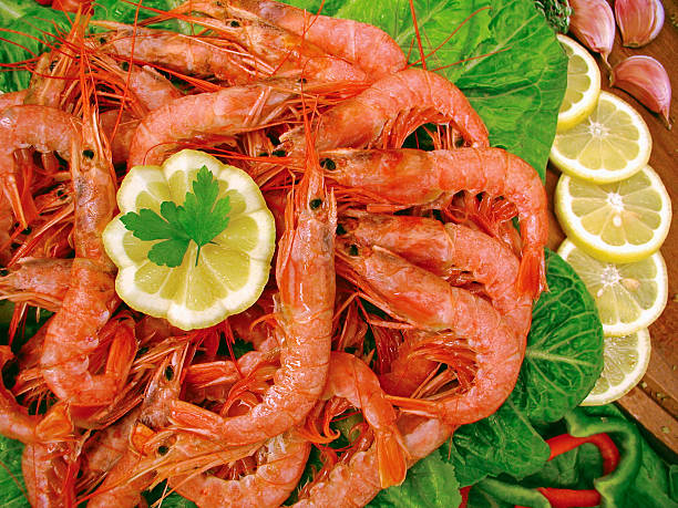 تصویر 2 از میگو + بهترین قیمت کف بازار