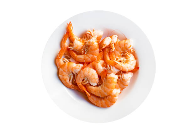 تصویر 1 از میگو + بهترین قیمت کف بازار