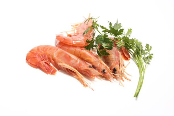 تصویر 2 از خرید و قیمت میگو سفید کیلویی + فروش صادراتی