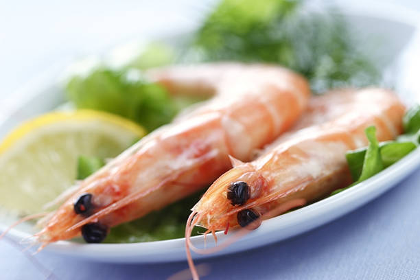 تصویر 4 از خرید و قیمت میگو سفید کیلویی + فروش صادراتی