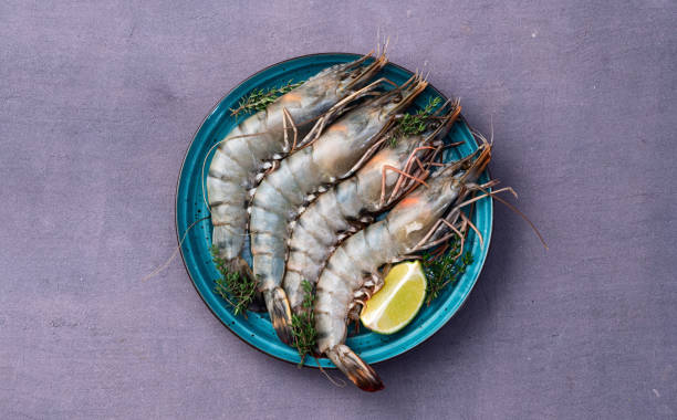 تصویر 4 از قیمت خرید عمده صادراتی ارزان میگو با پوست