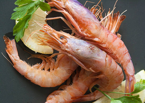 تصویر 3 از قیمت خرید عمده صادراتی ارزان میگو با پوست