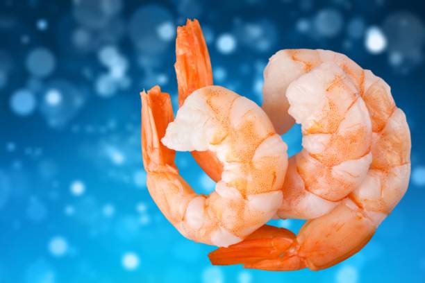 تصویر 5 از خرید و قیمت میگو پوست کنده + فروش عمده