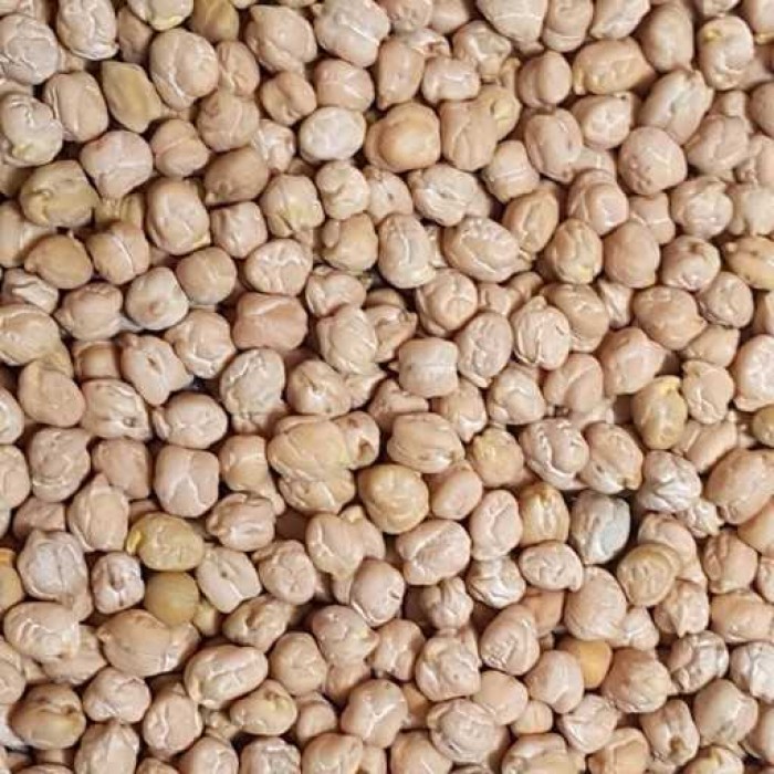 تصویر 3 از نخود تک خان کرمانشاه قیمت ویژه