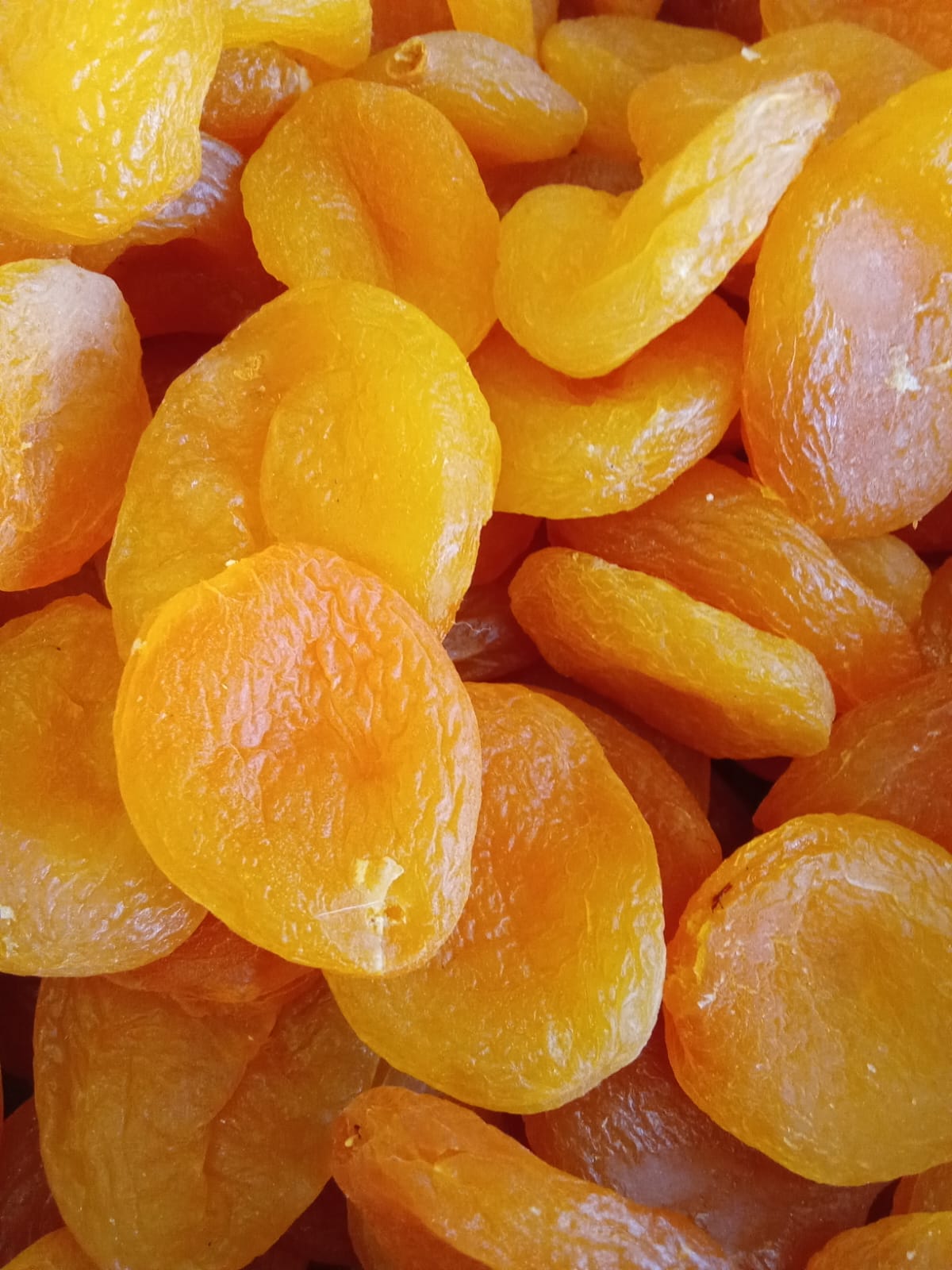 تصویر 5 از فروش عمده قیسی زرد آلو صادراتی