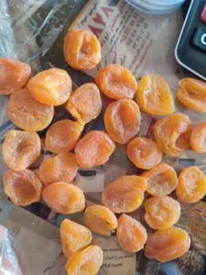 تصویر 4 از قیسی زردآلو شرکتی خرید