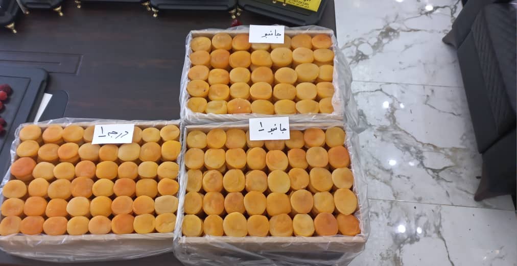 تصویر 5 از خرید قیسی خشک محلی + قیمت فروش استثنایی