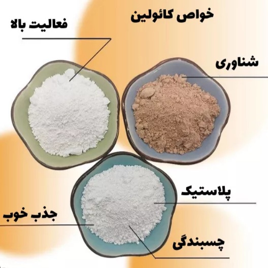 تصویر 4 از کائولن خالص + بهبود دهنده عملکرد در تولید