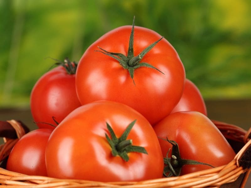 تصویر 5 از گوجه فرنگی رسمی ارگانیک قرمز ریز مرغوب و طبیعی