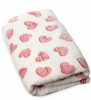 تصویر 2 از پتو مسافرتی قلبی یک نفره دلنشین