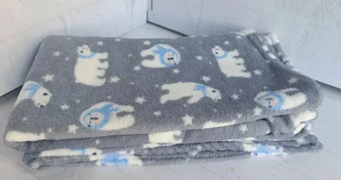 تصویر 5 از پتو مسافرتی شب نما یک نفره درخشان فردی