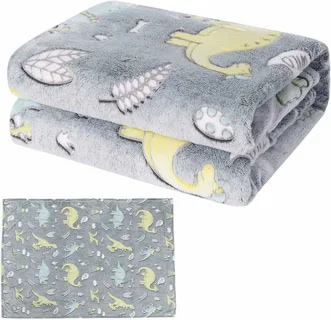 تصویر 3 از پتو مسافرتی شب نما دو نفره نورگیر